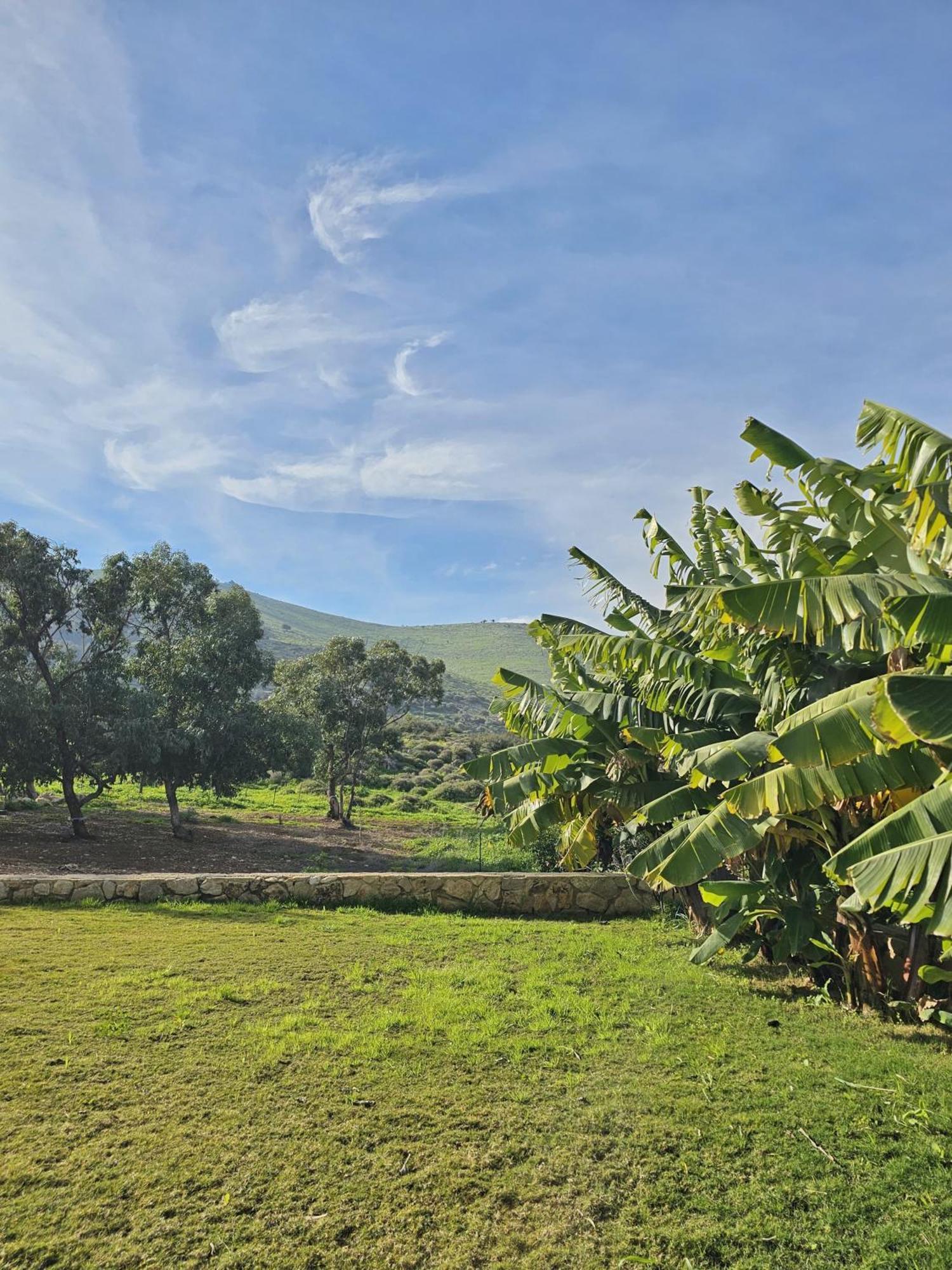 זריחה למרגלות הגלבוע Villa Nurit Dış mekan fotoğraf