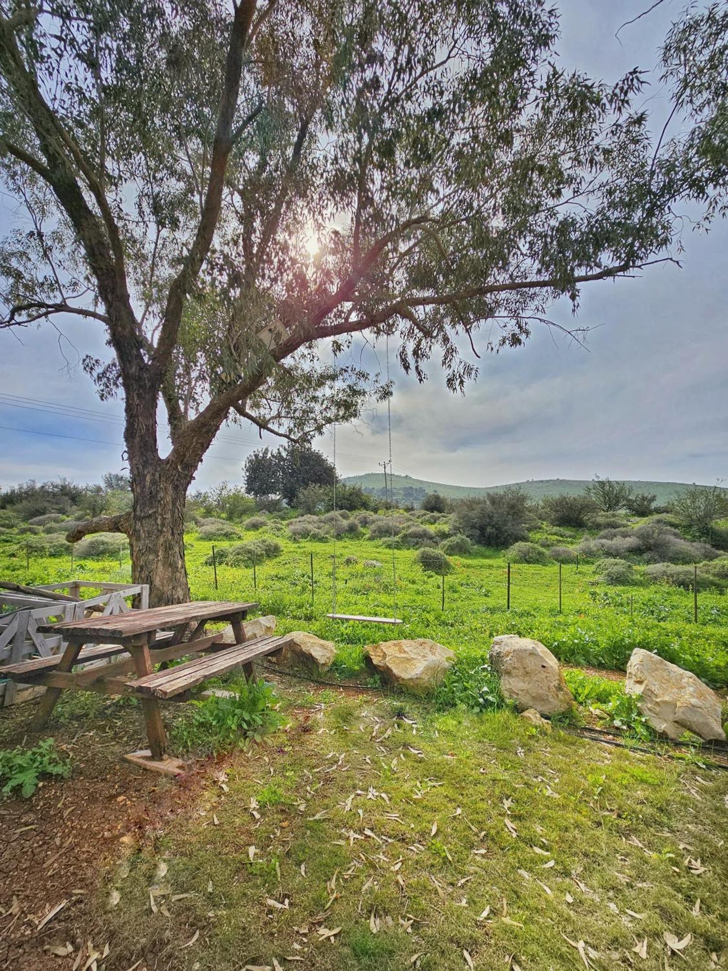 זריחה למרגלות הגלבוע Villa Nurit Dış mekan fotoğraf